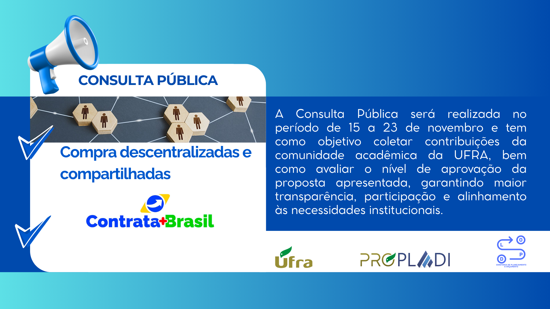 CONSULTA PÚBLICA